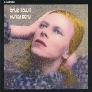 Hunky Dory