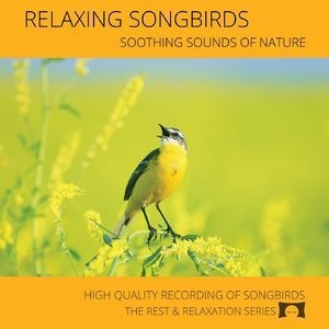 Relaxing Songbirds: Soothing Sounds Of Nature