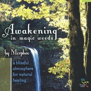 Awakening In Magic Woods