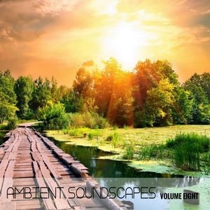 Ambient Soundscapes, Vol. 8