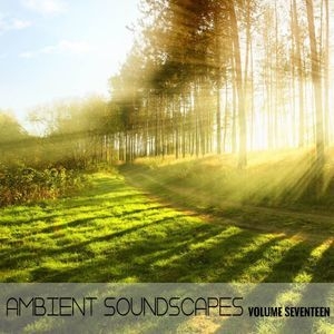 Ambient Soundscapes, Vol. 17