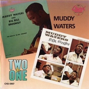 Muddy Waters Sings Big Bill Broonzy / Folk Singer