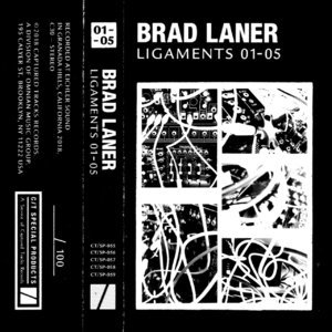 Ligaments 01-05
