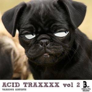 Acid Traxxxx Vol. 2