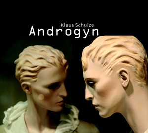 Androgyn