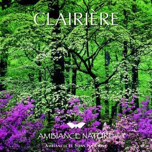 Ambiance Nature Clairiere