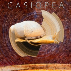 Casiopea