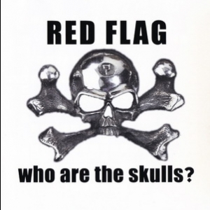Who Are The Skulls?