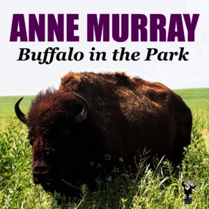 Buffalo In The Park