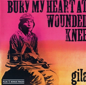 Bury My Heart At Wounded Knee