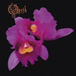 Orchid (Remastered)