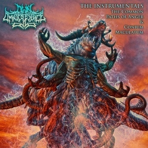 The Instrumentals The Common Paths Of Anger And Conium Maculatum (Instrumental)