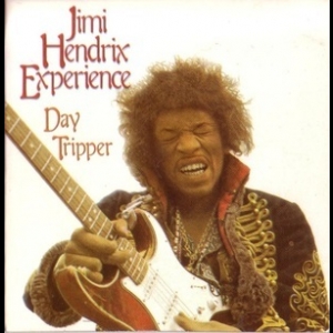 Day Tripper