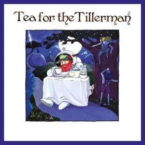 Tea For The Tillerman² [Hi-Res]