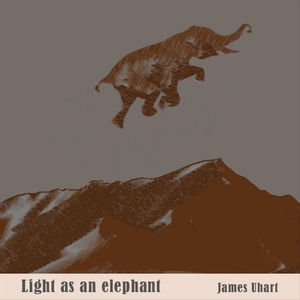 Light As An Elephant