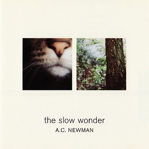 The Slow Wonder