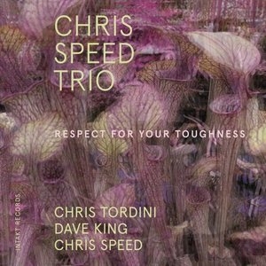 Respect for Your Toughness (feat. Chris Tordini & Dave King)