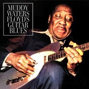 Floyd's Guitar Blues