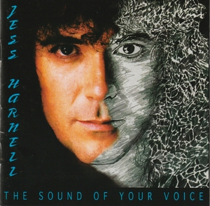 The Sound Of Your Voice