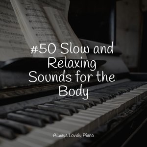 #50 Slow and Relaxing Sounds for the Body