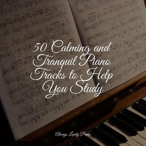 50 Calming and Tranquil Piano Tracks to Help You Study