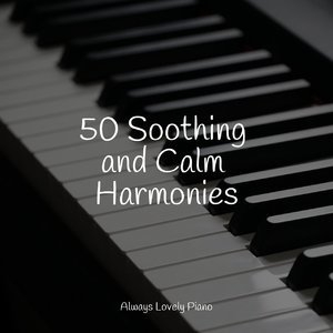 50 Soothing and Calm Harmonies