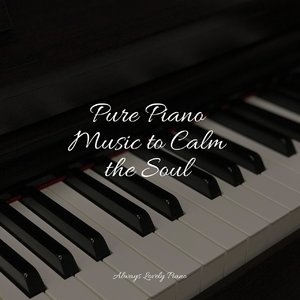 Pure Piano Music to Calm the Soul