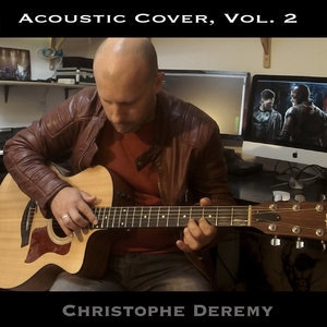 Acoustic Cover, Vol. 2