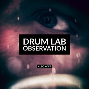 Drum Lab: Observation