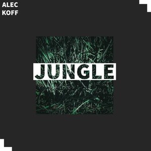 Jungle