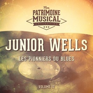 Les pionniers du Blues, Vol. 17 : Junior Wells