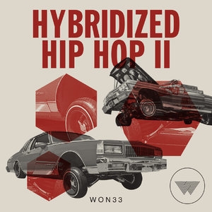 Hybridized Hip Hop II