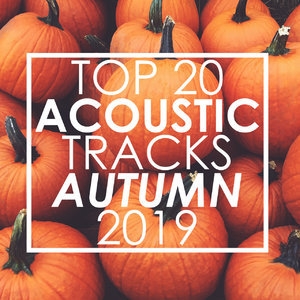 Top 20 Acoustic Tracks Autumn 2019 (Instrumental)