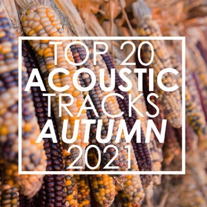 Top 20 Acoustic Tracks Autumn 2021 (instrumental)