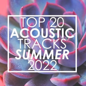 Top 20 Acoustic Tracks Summer 2022 (Instrumental)