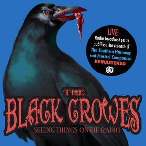 Seeing Things On The Radio (Remastered) (Live Stereo FM Radio Broadcast Set, Jul 5th '92)