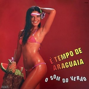 E Tempo de Araguaia - O Som do Verao