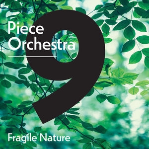 9 Piece Orchestra: Fragile Nature