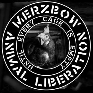 Animal Liberation - Until Every Cage is Empty