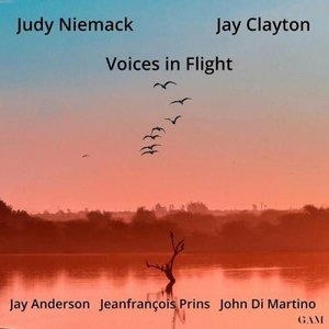 Voices in Flight