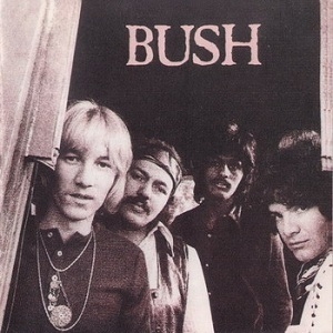 Bush