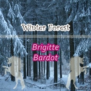 Winter Forest