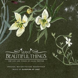 Many Beautiful Things (Original Motion Picture Soundtrack)