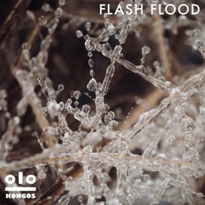 Flash Flood