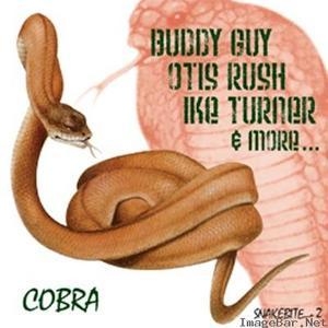 Cobra Snakebite II CD1