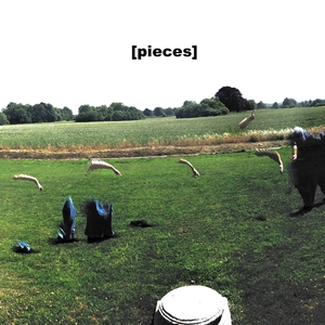 [pieces]