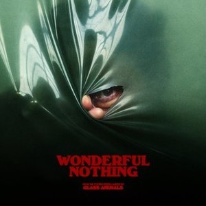 Wonderful Nothing