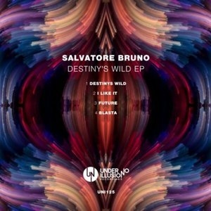 Destinys Wild EP