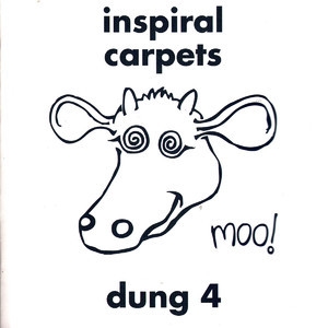 Dung 4