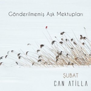 Gonderilmemis Ask Mektuplari / Subat